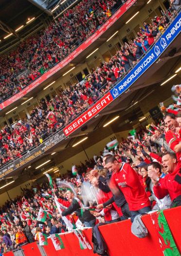 Eine große Menge walisischer Rugby-Fans in einem Stadion