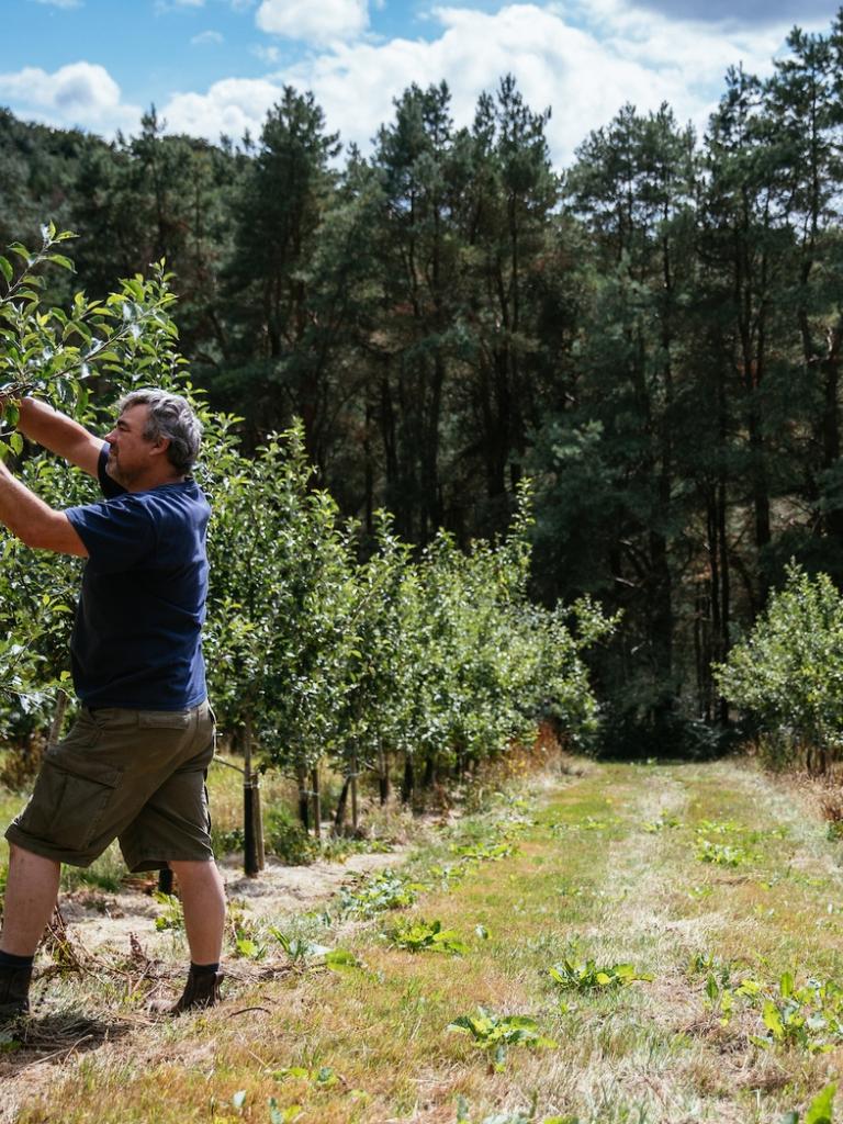 Andy Hallett and his son working on the apple trees at Blaengawney Farm.