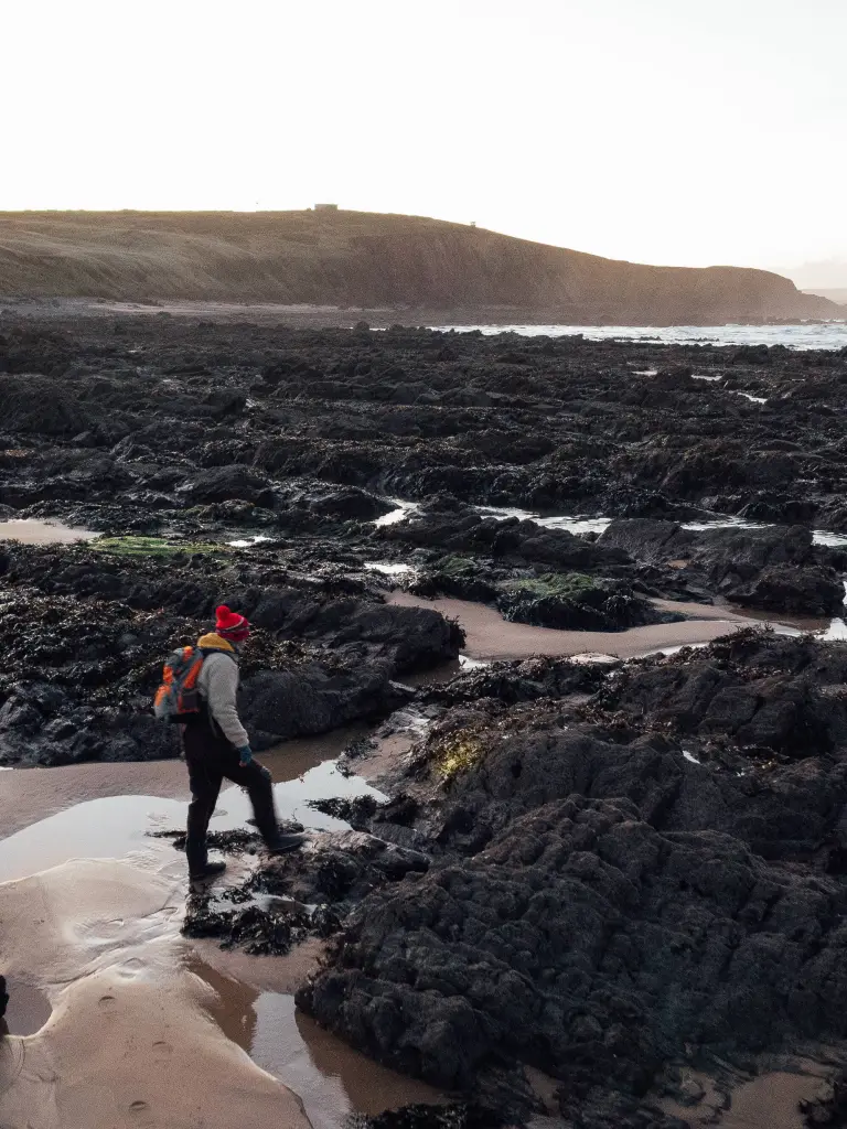 Une personne marchant le long de la plage, passant devant des rochers et des algues