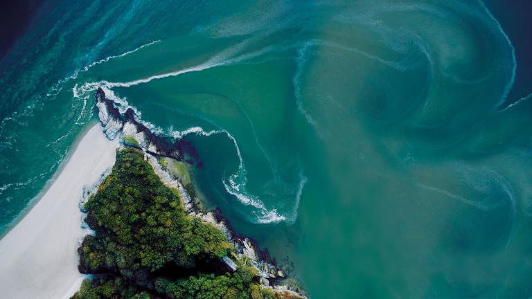 aerial image of sea and coast with trees.