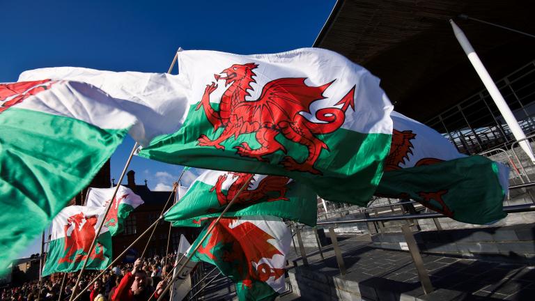 Welsh flags being held by a crowd of people