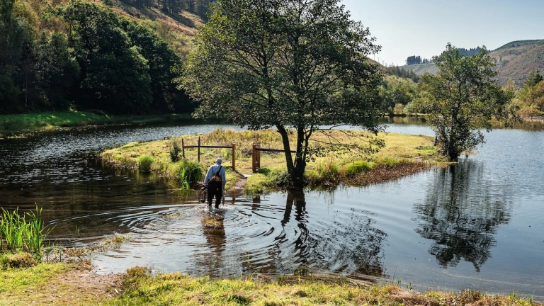 A person wading through a glistening stream in the middle of a mountainous forest sceneforest