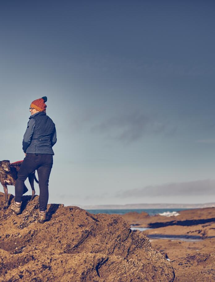 A person and a dog on a beach.