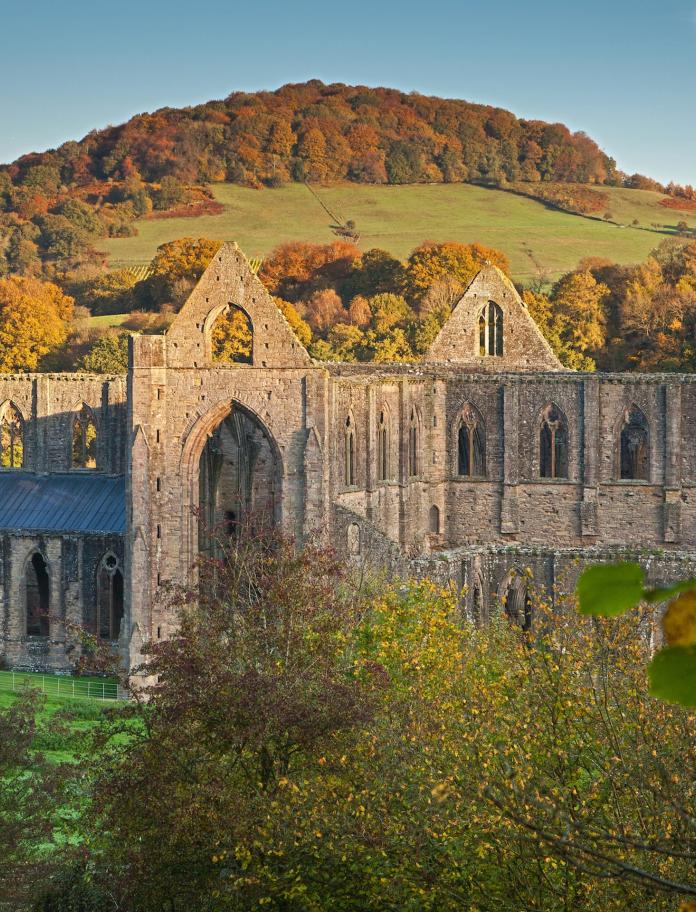 General view at dawn in autumn from south east, Tintern Abbey 
