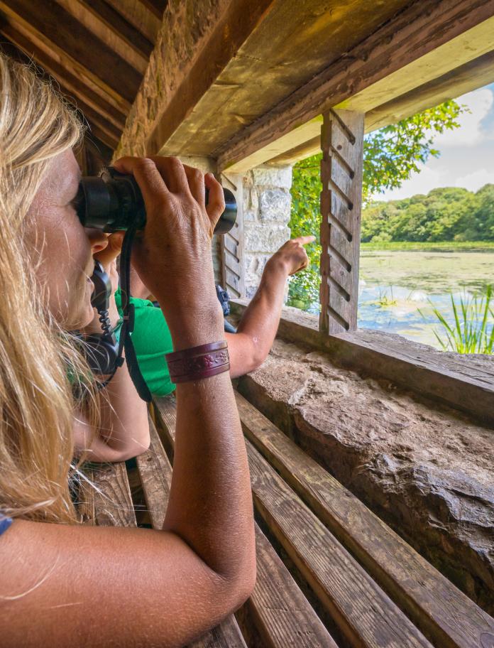 Couple bird watching from a hide