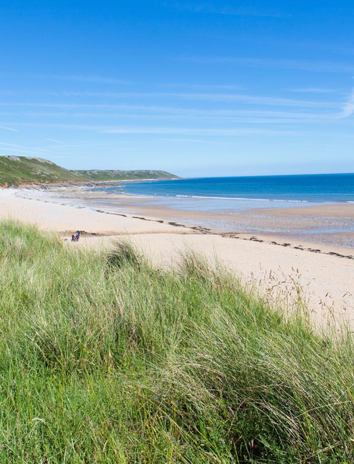 long grass in the foreground with sandy beach and blue sea and sky in background.