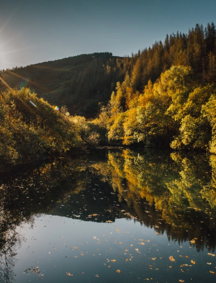 Von Wäldern umgebener See im Dyfi-Biosphärenreservat in Mittelwales.