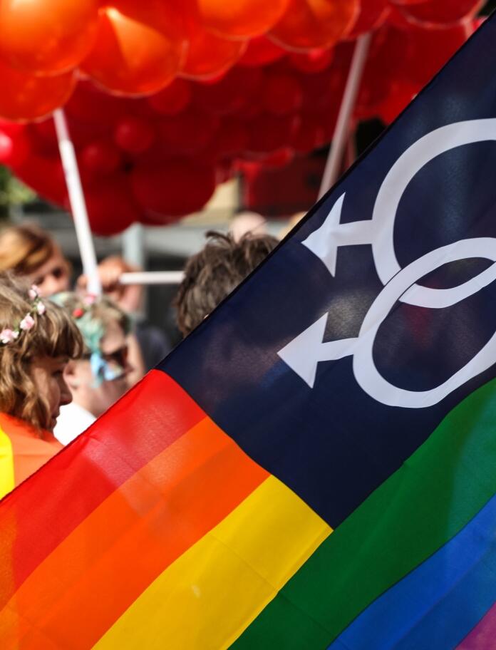 LGBTQ+ rainbow flags at Pride Cymru festival
