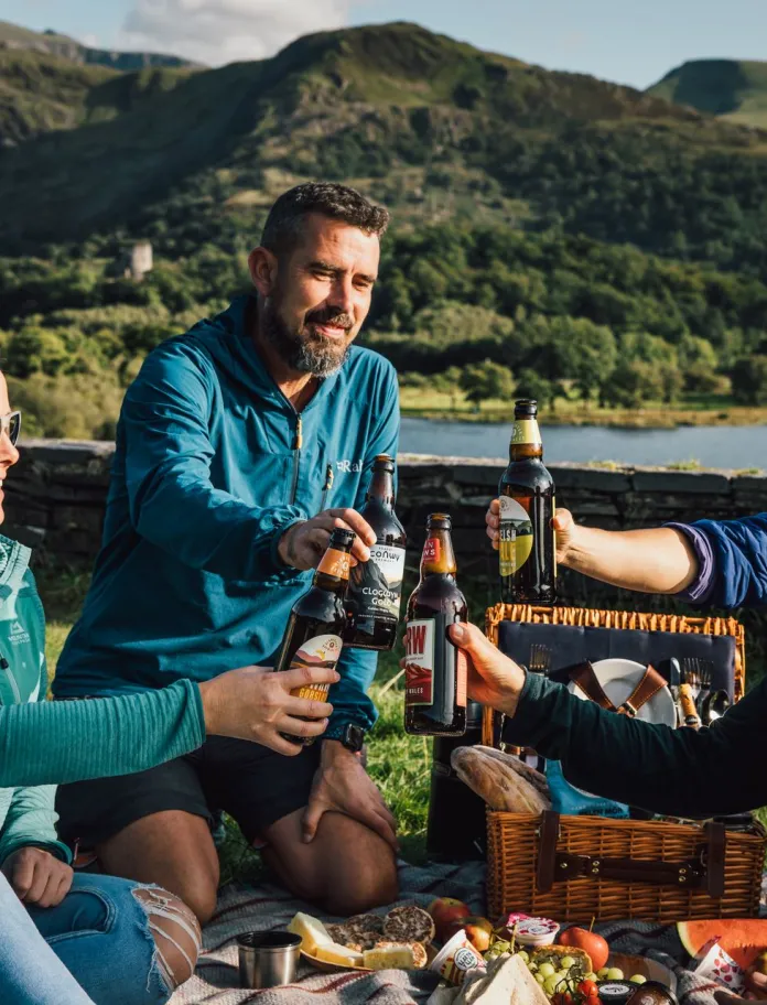 Four people enjoying a picnic beside Llyn Padarn in North Wales, raising drinks with mountains and woodland in the background. 
