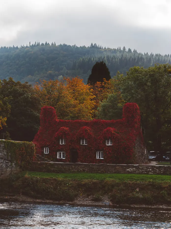 Tu-Hwnt-I'r Bont Tearooms, Llanrwst during autumn