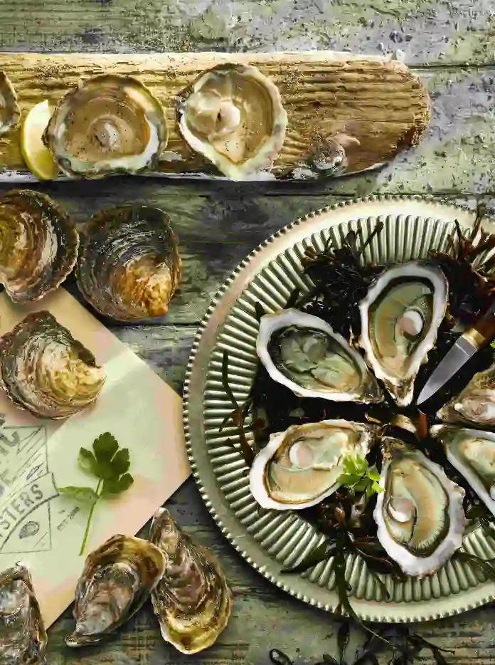 Un plato de ostras.