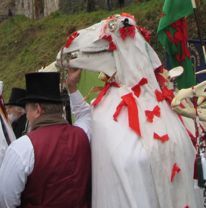  A couple of Mari Lwyds being led around by a group of people