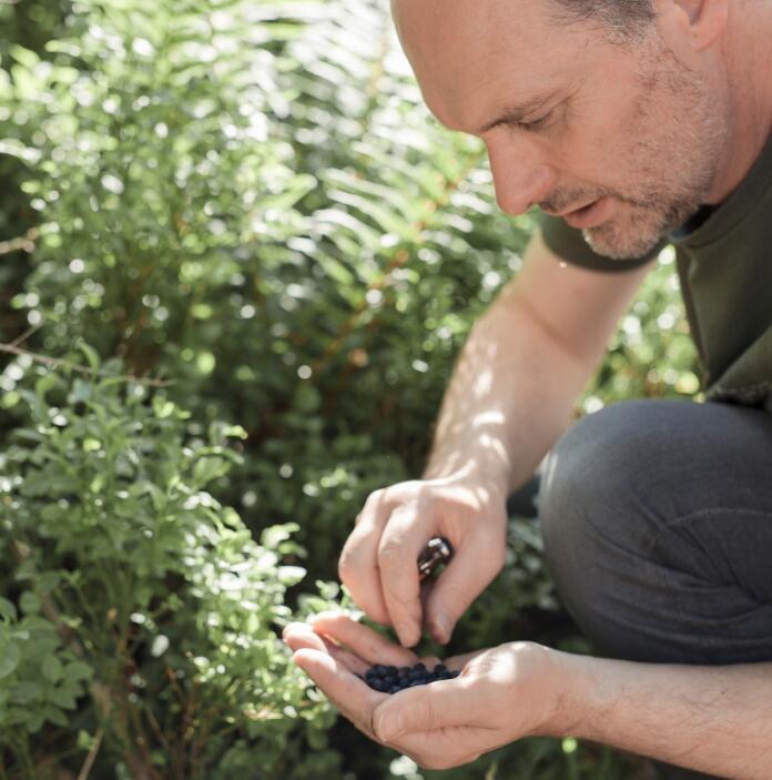 A man foraging in the bushes.
