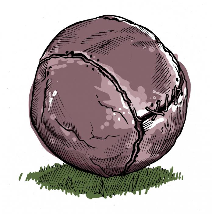 Illustration of a wooden cnapan ball