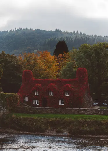 Tu-Hwnt-I'r Bont Tearooms, Llanrwst during autumn