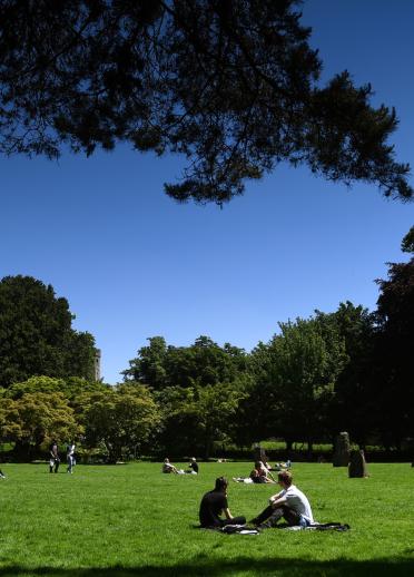 People relaxing on the grass in Bute Park