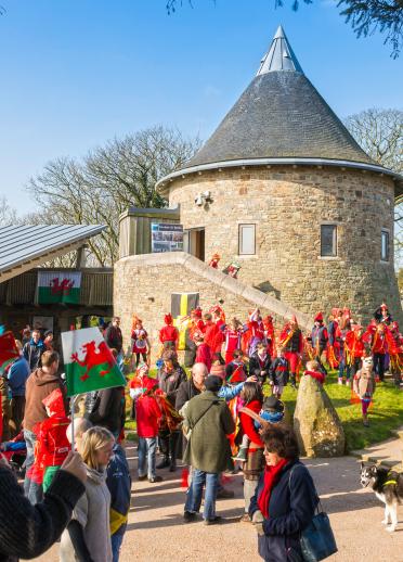 people taking part in St David's Day parade