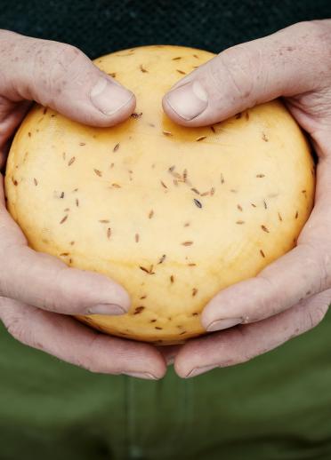 A pair of hands holding a cheese round
