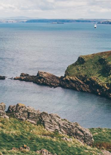 View across Skomer Island, Pembrokeshire.