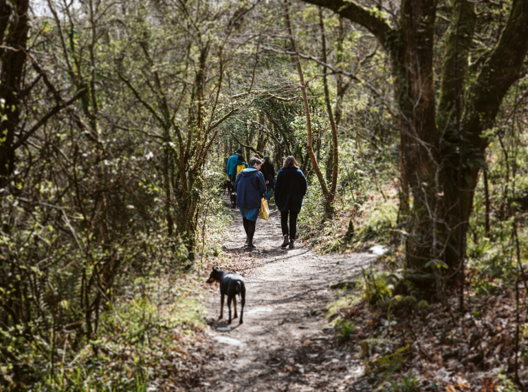 A groups of people and a dog walking down a path through the forest.