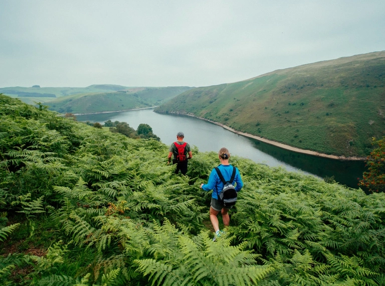 A couple walking through a ferny landscape next to a large lake nestled between mountains