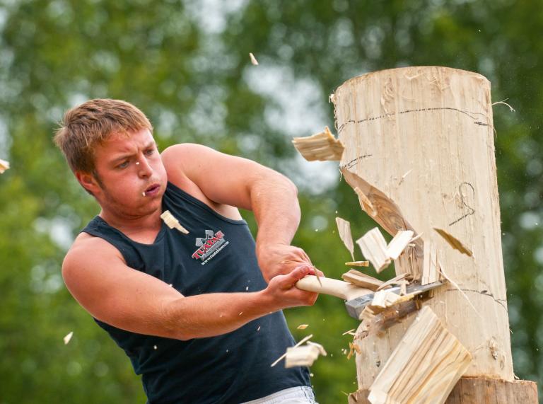 Man chopping wood, Royal Welsh Show