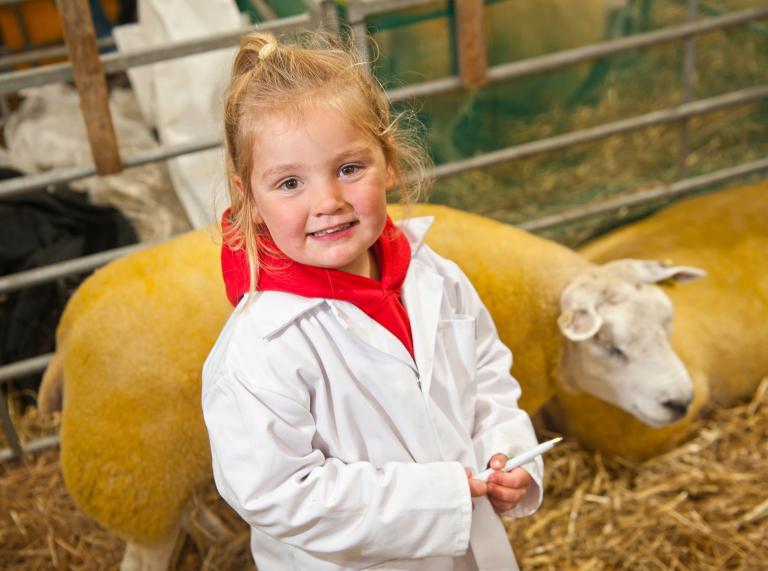 junges Mädchen mit Schafen, Royal Welsh Show