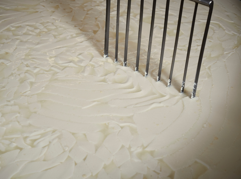 Nahaufnahme der Rohmilch von der Cilcert Farm, aus der der Käse von Caws Teifi hergestellt wird.