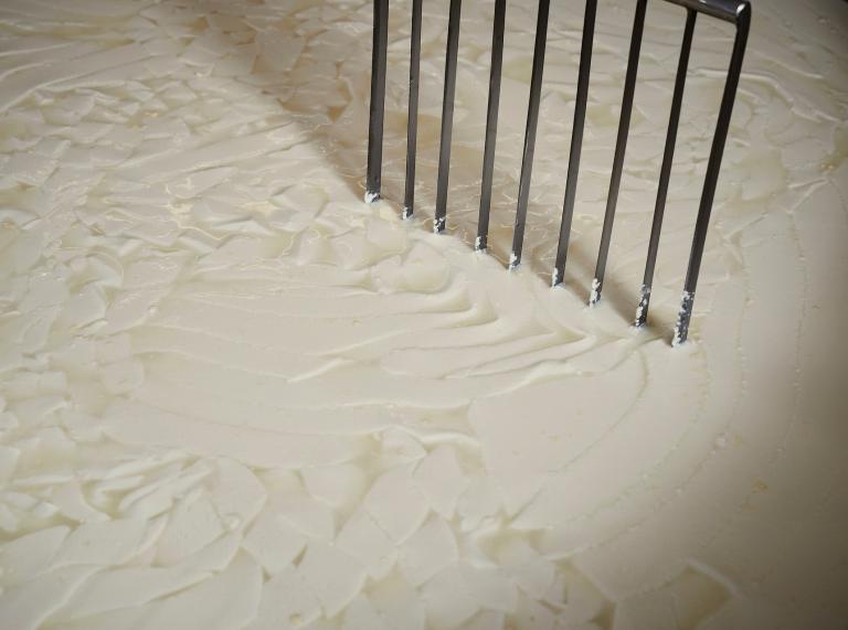 Nahaufnahme der Rohmilch von der Cilcert Farm, aus der der Käse von Caws Teifi hergestellt wird.