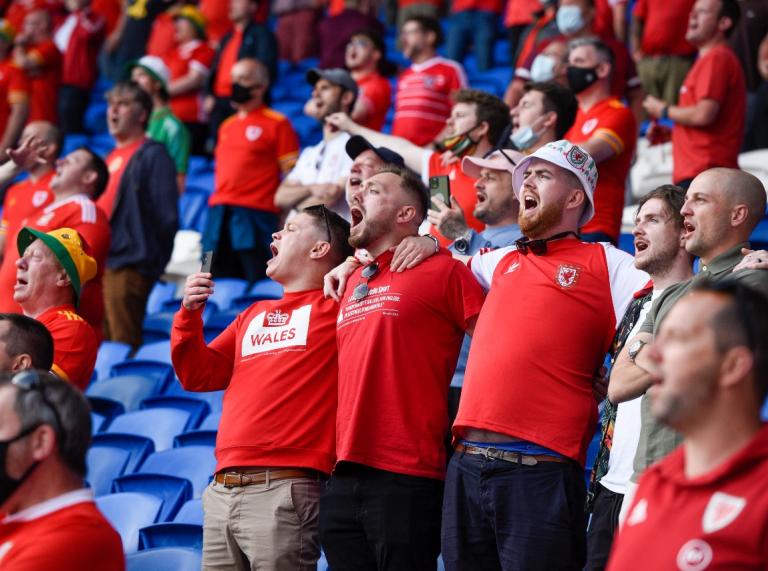 Wales fans during the match enjoying being at the Cardiff City Stadium