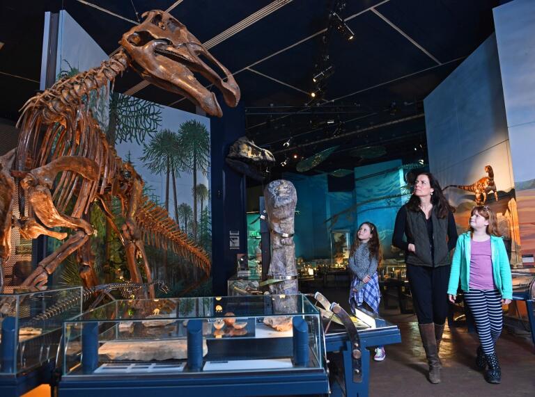 A family walking through a museum, looking at the skeleton of a dinosaur