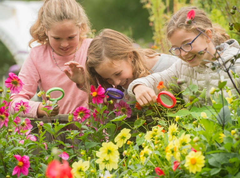 Three children looking at flowers with magnifying glasses.