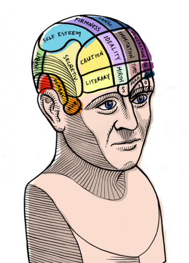 Grafik des Kopf der Phrenologie