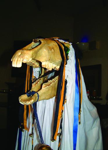 Mari Lwyd with jaws open.