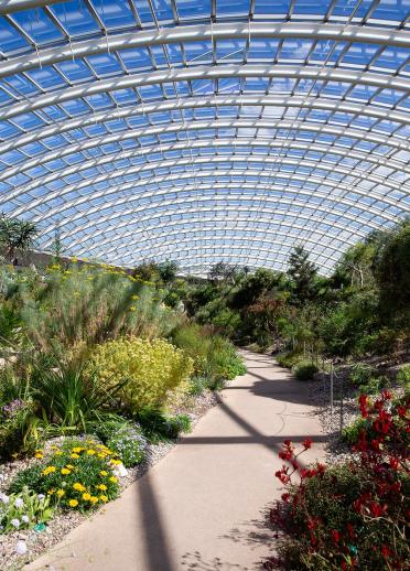 In einem großen bunt bepflanzten Gewächshaus im National Botanic Garden of Wales.