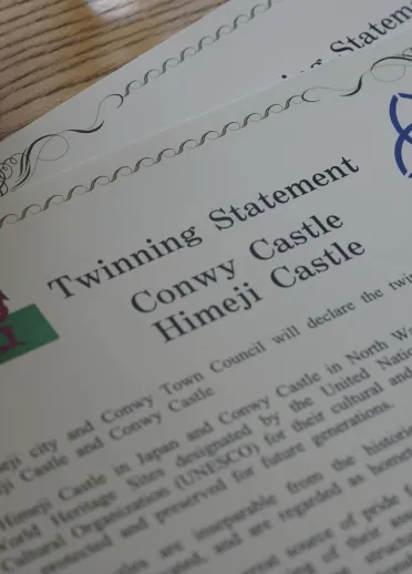 Twinning statement