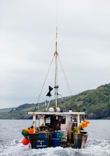Fischerboot, das in die Cardigan Bay hinausfährt