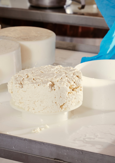 Einige Formen zum Formen von Frischkäse