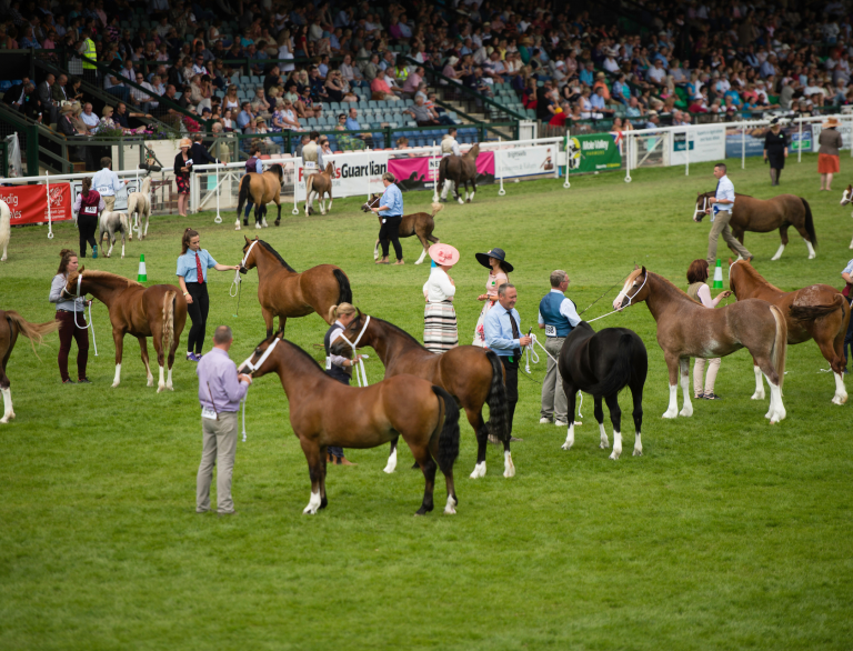 The Royal Welsh Show, Llanelwedd, près de Builth Wells, dans le comté de Powys