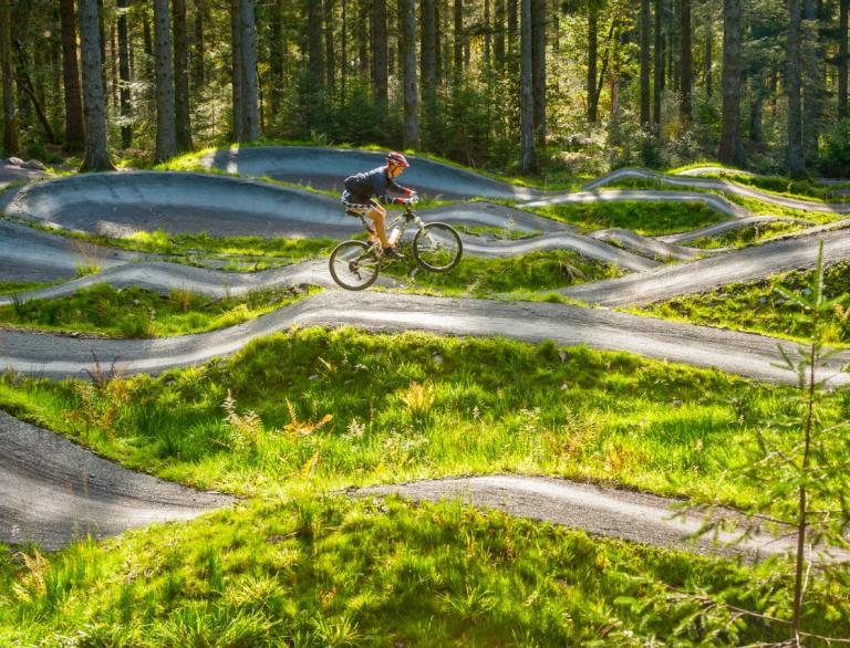 A cyclist enjoys a mountain bike track on a bright sunny day