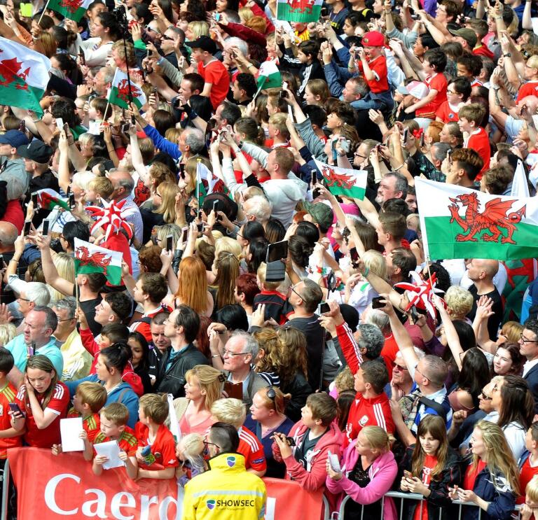 A crowd of Wales fans standing in the stands at the stadium cheering on the team