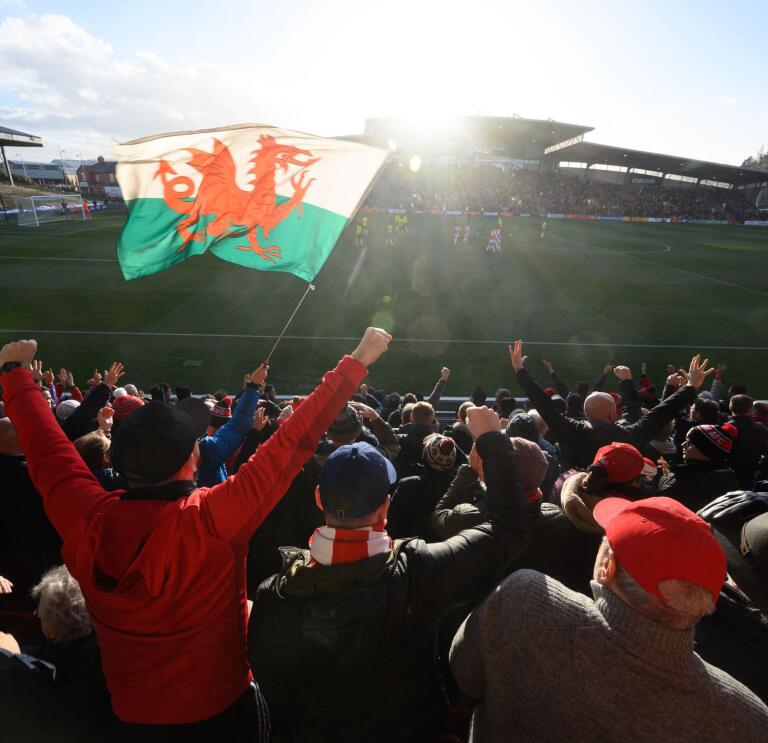A crowd of people cheering at a football match, with a Welsh flag flying amidst them in the stadium seating
