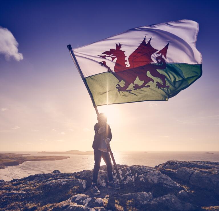 Person holding the Wales flag.