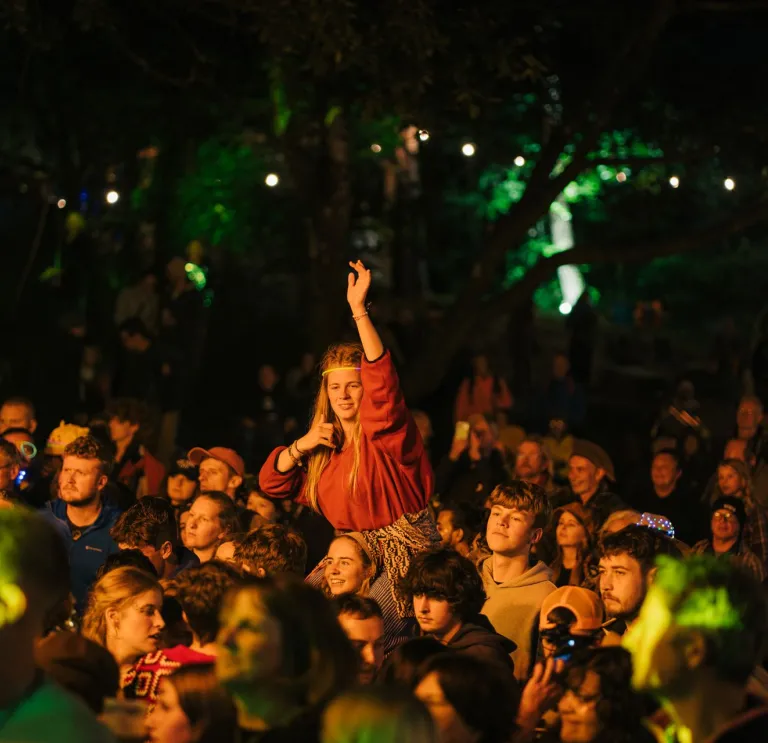 A crowd of people standing at a gig.