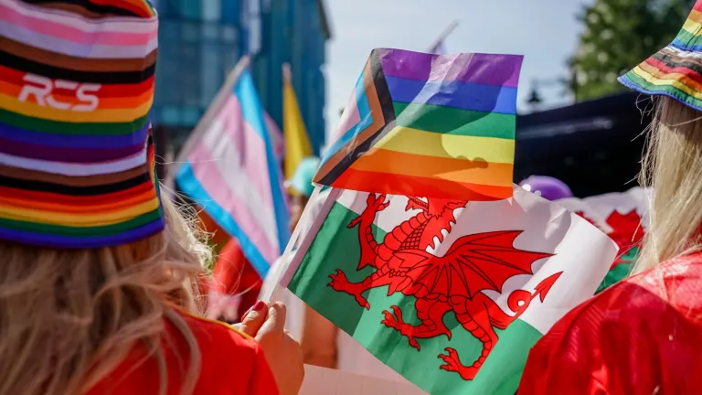 An image of a range of Welsh and LGBTQIA+ flags being held by Welsh sports fans