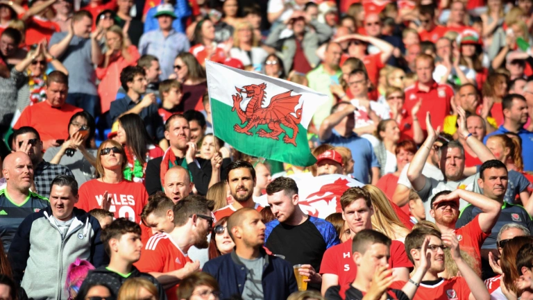 A crowd of people and a Welsh flag. 