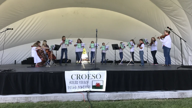 Un orchestre jouant sur scène.