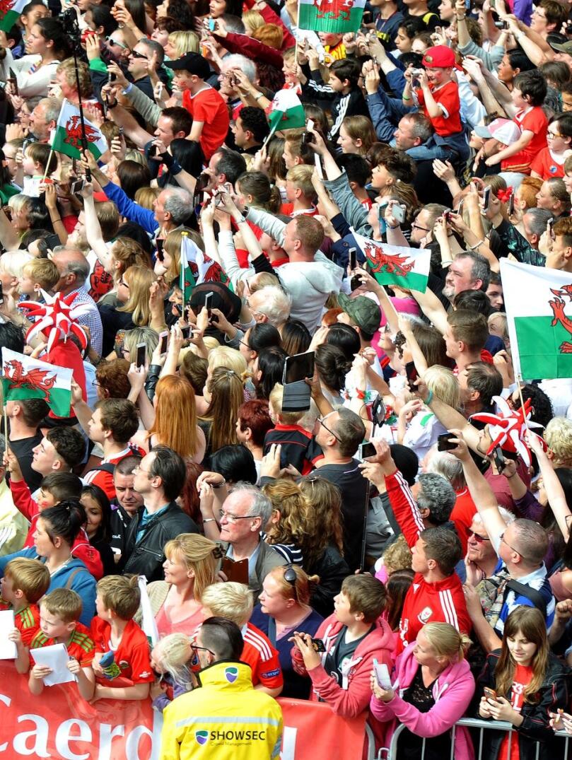A crowd of Wales fans standing in the stands at the stadium cheering on the team