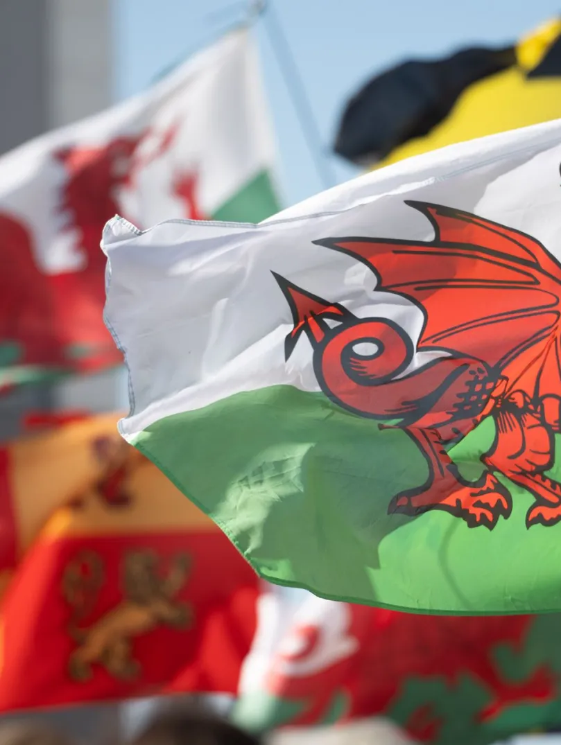Welsh flags featuring the red dragon flying alongside other colourful flags during the St David's Day parade in Aberystwyth. 