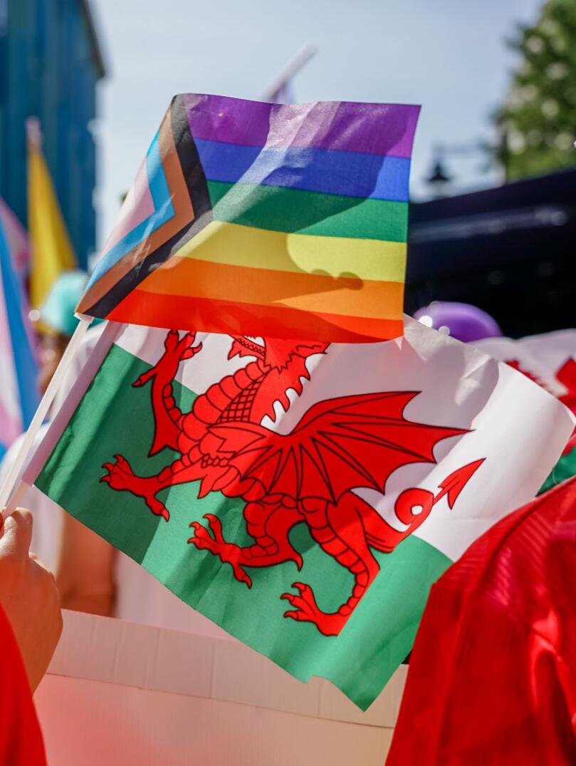 An image of a range of Welsh and LGBTQIA+ flags being held by Welsh sports fans